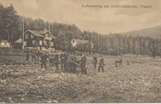 Et bilde som inneholder utendrs, gress, foto, felt

Automatisk generert beskrivelse