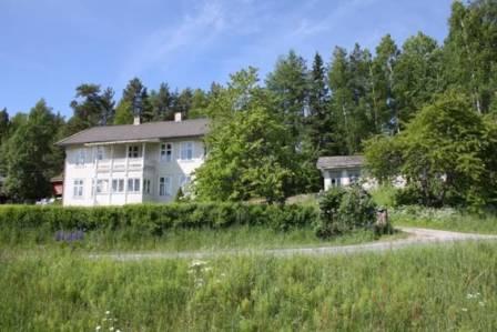 Et bilde som inneholder gress, tre, utendrs, himmel

Automatisk generert beskrivelse
