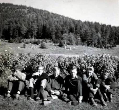 Et bilde som inneholder utendrs, tre, himmel, person

Automatisk generert beskrivelse