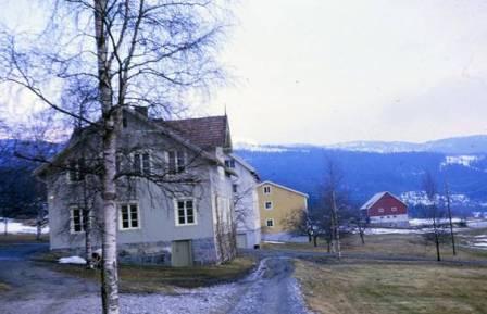 Et bilde som inneholder utendrs, himmel, gress, tre

Automatisk generert beskrivelse