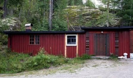 Et bilde som inneholder tre, utendrs, gress, bakke

Automatisk generert beskrivelse