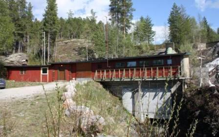 Et bilde som inneholder tre, gress, tog, utendrs

Automatisk generert beskrivelse
